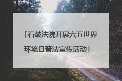 石鼓法院开展六五世界环境日普法宣传活动