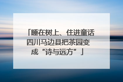 睡在树上、住进童话 四川马边县把茶园变成“诗与远方”