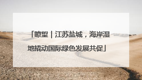 瞭望｜江苏盐城，海岸湿地撬动国际绿色发展共促