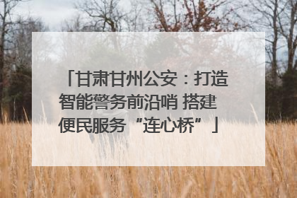 甘肃甘州公安：打造智能警务前沿哨 搭建便民服务“连心桥”
