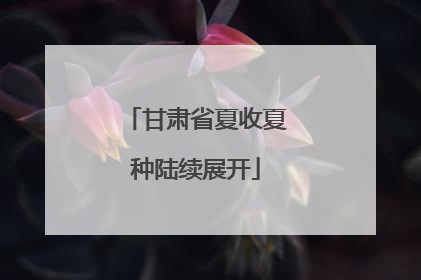 甘肃省夏收夏种陆续展开
