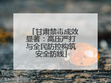 甘肃禁毒成效显著：高压严打与全民防控构筑安全防线