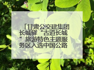 甘肃公交建集团长城驿“古道长城”旅游特色主题服务区入选中国公路学会“2025年度交通与旅游融合创新项目”