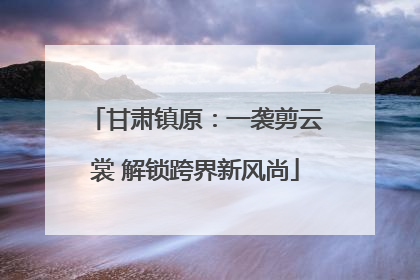 甘肃镇原：一袭剪云裳 解锁跨界新风尚