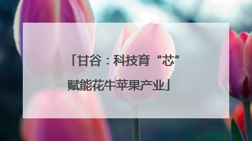 甘谷：科技育“芯”赋能花牛苹果产业