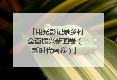 用光影记录乡村全面振兴新画卷（新时代画卷）