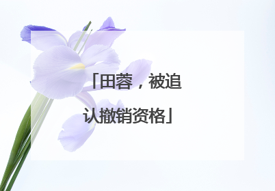 田蓉，被追认撤销资格