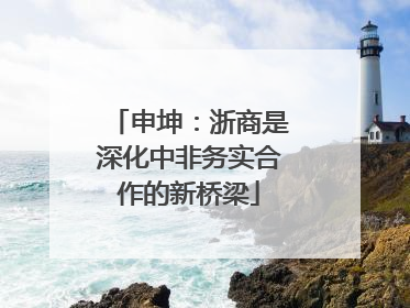 申坤：浙商是深化中非务实合作的新桥梁