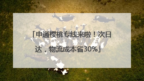 申通樱桃专线来啦！次日达，物流成本省30%