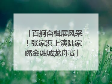 百舸奋楫展风采！张家浜上演陆家嘴金融城龙舟赛