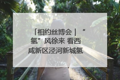 相约丝博会｜“氢”风徐来 看西咸新区泾河新城氢能产业聚链成势