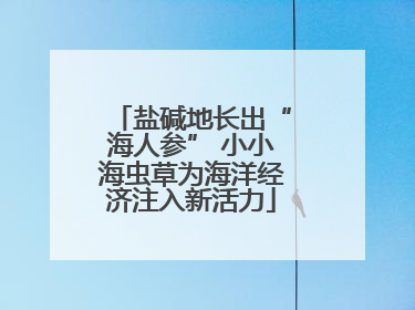 盐碱地长出“海人参” 小小海虫草为海洋经济注入新活力