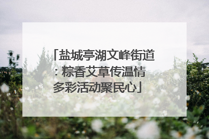 盐城亭湖文峰街道：粽香艾草传温情 多彩活动聚民心