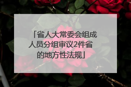 省人大常委会组成人员分组审议2件省的地方性法规
