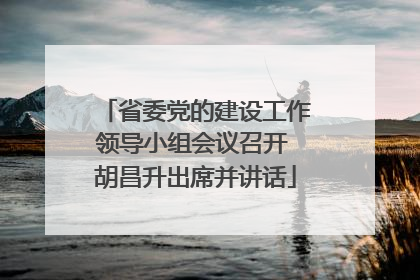 省委党的建设工作领导小组会议召开 胡昌升出席并讲话