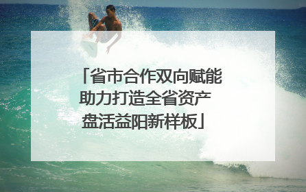 省市合作双向赋能 助力打造全省资产盘活益阳新样板