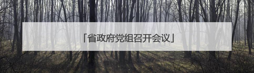 省政府党组召开会议