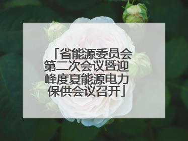 省能源委员会第二次会议暨迎峰度夏能源电力保供会议召开