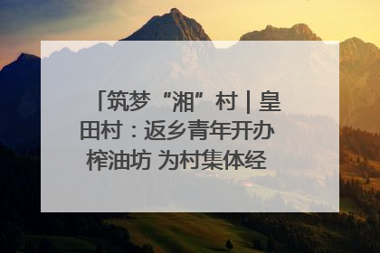 筑梦“湘”村｜皇田村：返乡青年开办榨油坊 为村集体经济“加油”