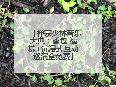 禅宗少林音乐大典：香包 福粽+沉浸式互动巡演全免费