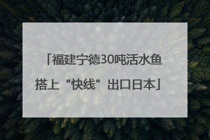福建宁德30吨活水鱼搭上“快线”出口日本
