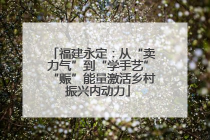 福建永定：从“卖力气”到“学手艺”“赈”能量激活乡村振兴内动力