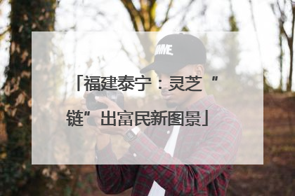 福建泰宁：灵芝“链”出富民新图景