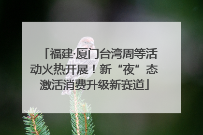 福建·厦门台湾周等活动火热开展！新“夜”态激活消费升级新赛道