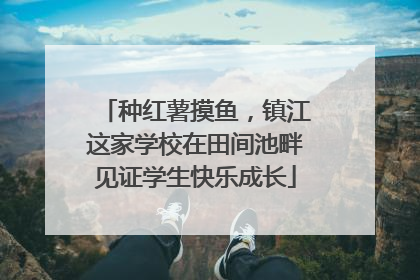 种红薯摸鱼，镇江这家学校在田间池畔见证学生快乐成长