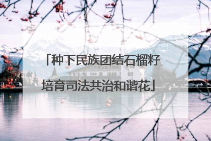 种下民族团结石榴籽 培育司法共治和谐花