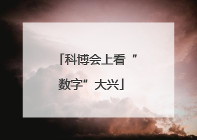 科博会上看“数字”大兴