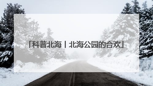 科普北海丨北海公园的合欢