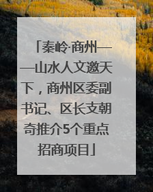 秦岭·商州——山水人文邀天下，商州区委副书记、区长支朝奇推介5个重点招商项目