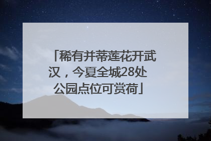 稀有并蒂莲花开武汉，今夏全城28处公园点位可赏荷