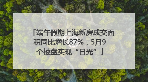 端午假期上海新房成交面积同比增长87%，5月9个楼盘实现“日光”