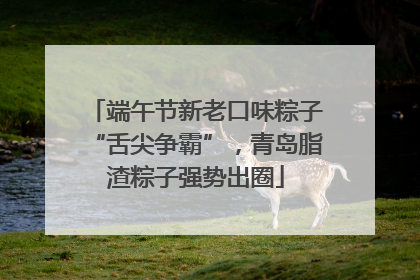 端午节新老口味粽子“舌尖争霸”，青岛脂渣粽子强势出圈