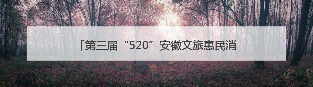 第三届“520”安徽文旅惠民消费季研学主题暨 2025年安徽省“四季村歌”特色展演燃动池州