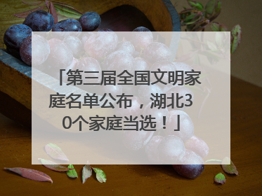第三届全国文明家庭名单公布，湖北30个家庭当选！