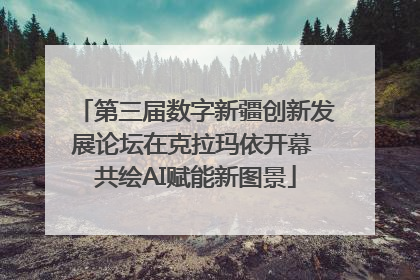 第三届数字新疆创新发展论坛在克拉玛依开幕 共绘AI赋能新图景
