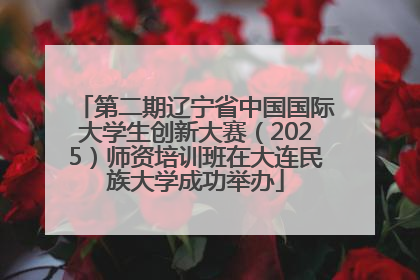 第二期辽宁省中国国际大学生创新大赛（2025）师资培训班在大连民族大学成功举办