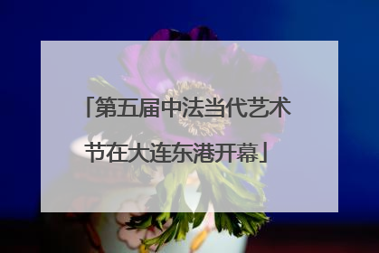 第五届中法当代艺术节在大连东港开幕