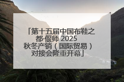 第十五届中国布鞋之都·偃师 2025 秋冬产销（国际贸易）对接会隆重开幕
