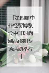 第四届中非经贸博览会中非时尚潮品邵阳专场活动举行
