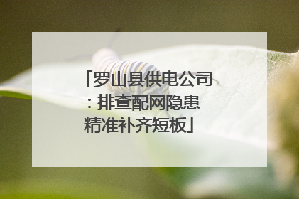 罗山县供电公司：排查配网隐患 精准补齐短板