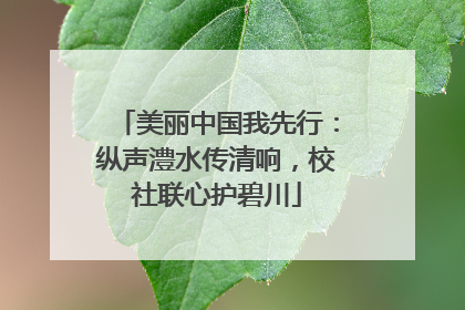 美丽中国我先行：纵声澧水传清响，校社联心护碧川