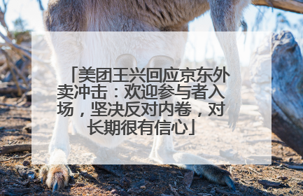美团王兴回应京东外卖冲击：欢迎参与者入场，坚决反对内卷，对长期很有信心