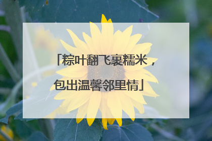 粽叶翻飞裹糯米，包出温馨邻里情