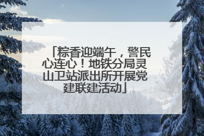 粽香迎端午，警民心连心！地铁分局灵山卫站派出所开展党建联建活动