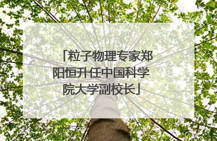 粒子物理专家郑阳恒升任中国科学院大学副校长