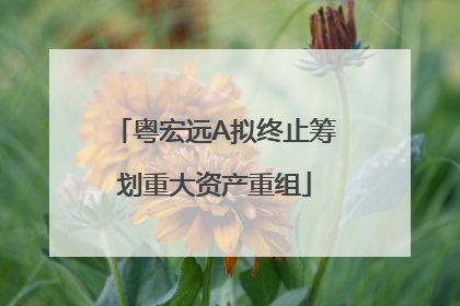 粤宏远A拟终止筹划重大资产重组